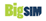 BigSIM Logo