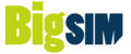 BigSIM Logo